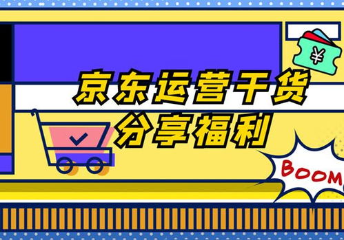 京東店鋪運(yùn)營(yíng)全攻略 從入門到精通的必備事項(xiàng)