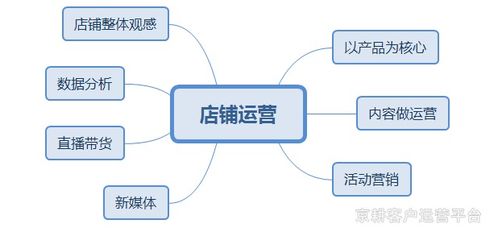 京東店鋪年度運(yùn)營(yíng)戰(zhàn)略規(guī)劃 系統(tǒng)思維驅(qū)動(dòng)，打造優(yōu)質(zhì)店鋪